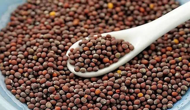 मप्र में भावांतर योजना के तहत आज से प्रारंभ होगा सरसों का उपार्जन