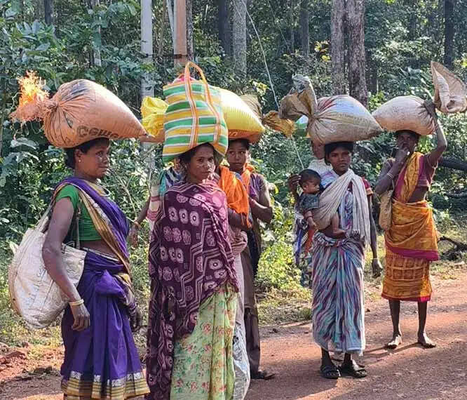 नक्सलवाद के खात्में के बाद भी अबूझमाड़ की विकास यात्रा बड़ी चुनौती