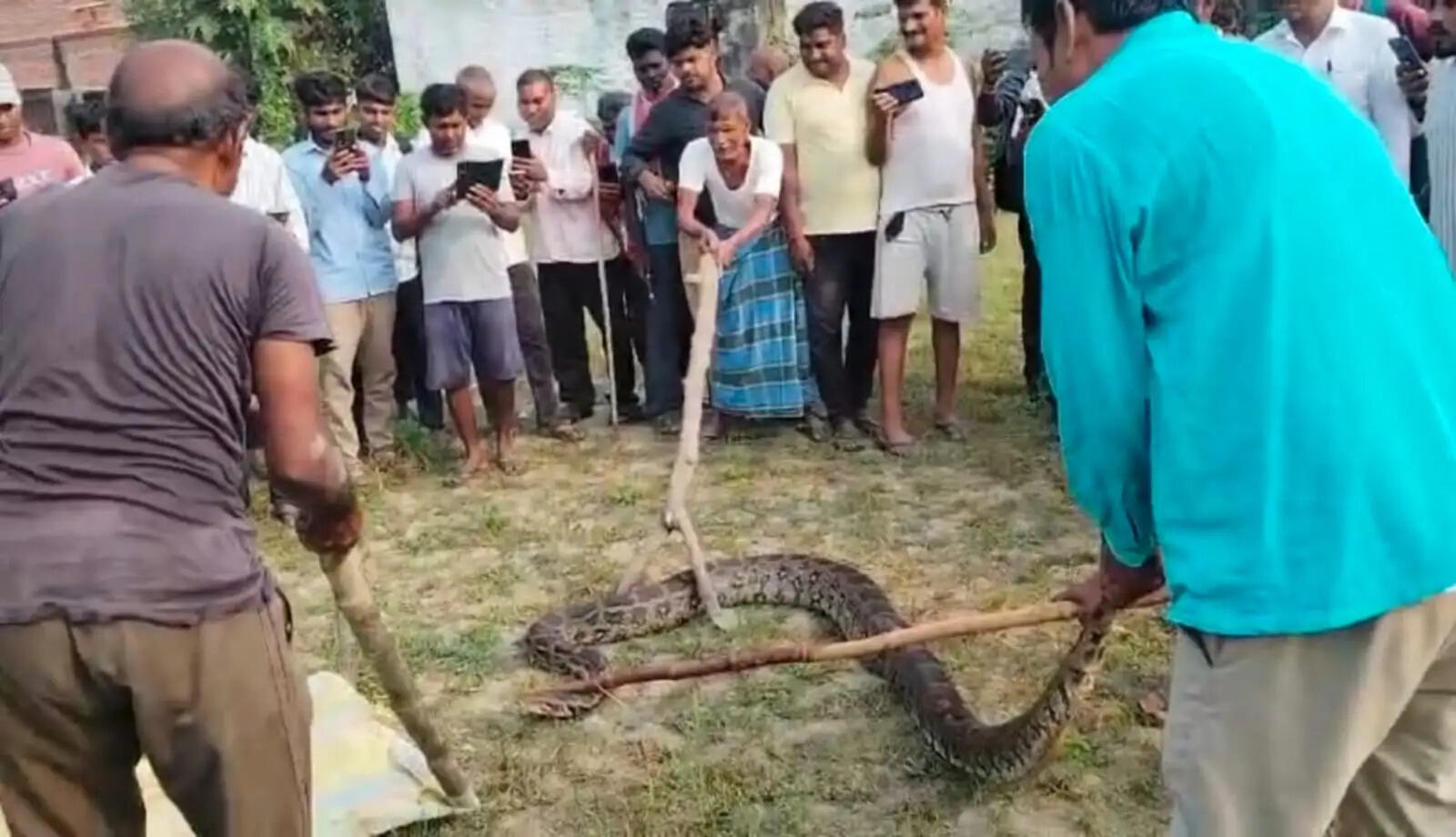 घर के पास निकले 15 फीट लंबे अजगर काे वन विभाग ने रेस्क्यू कर जंगल में छोड़ा