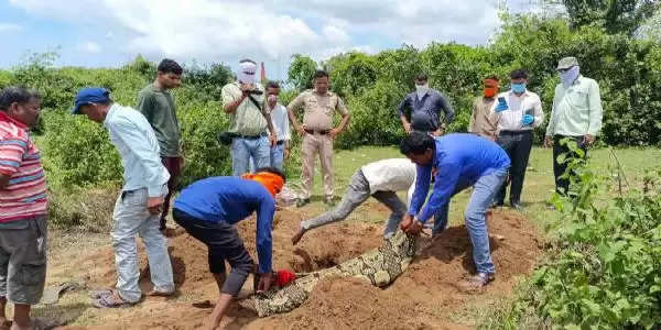 इलाज में लापरवाही से बच्ची की मौत, प्रशासन ने शव को कब्र से बाहर निकाला