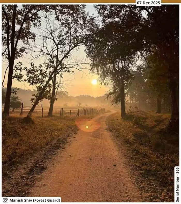 सिवनीः पेंच टाइगर रिजर्व में गश्त के दौरान फॉरेस्टर गार्ड ने कैमरे में कैद किया सूर्याेदय का अद्भुत नज़ारा