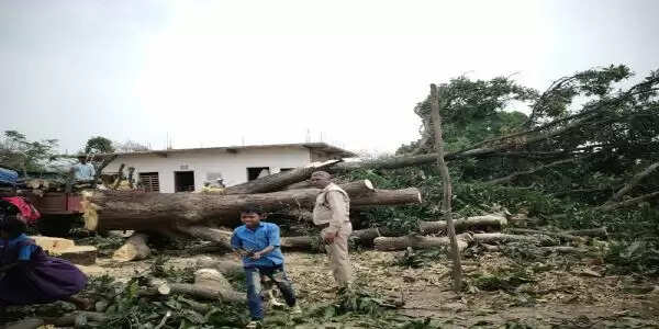 बलरामपुर : मजदूरों की कमी से एनएच निर्माण की सुस्त हुई रफ्तार