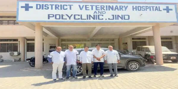 जींद : पशु चिकित्सकों ने काले बिल्ले लगाकर किया काम