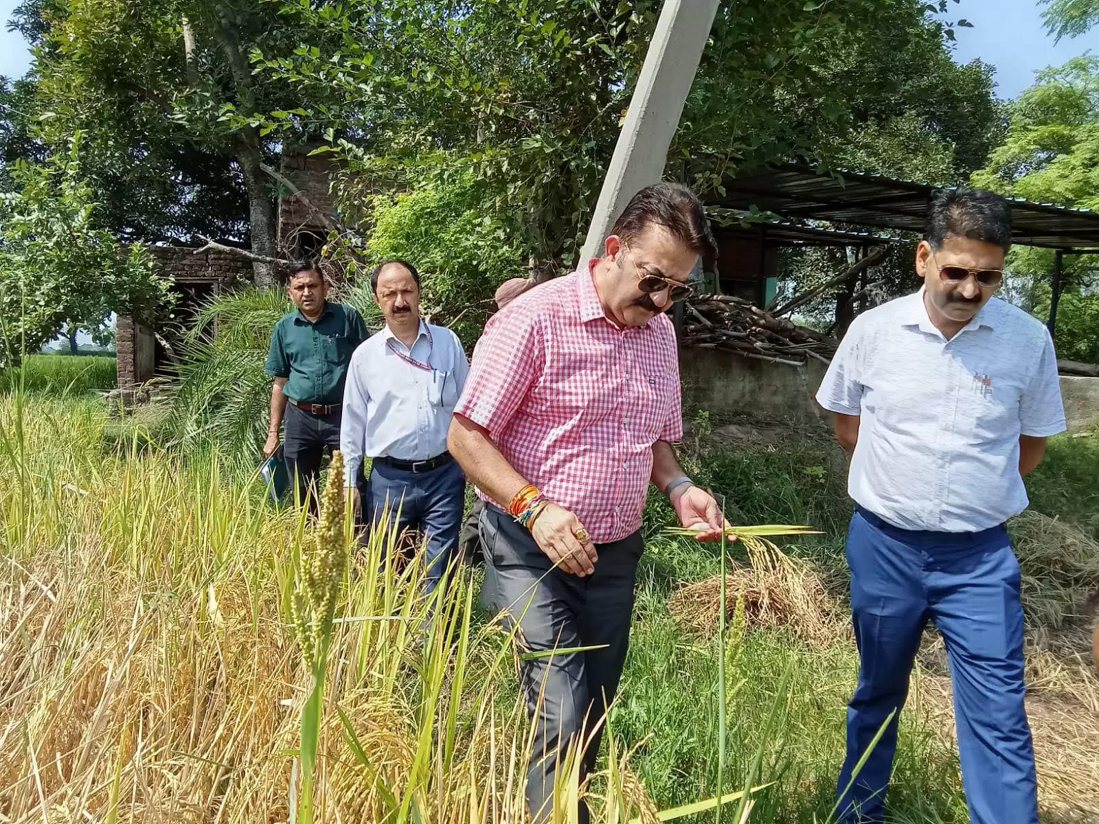 सीएओ कठुआ ने कृषि उपमंडल कठुआ की विभिन्न पंचायतों का दौरा किया