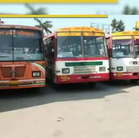 यूपी&nbsp;के&nbsp;हरदोई सहित आठ जिलों में 22&nbsp;को लगेगा रोजगार मेला