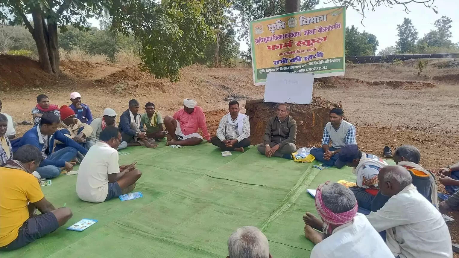 आत्मा योजना से बदली खेती की तस्वीर, गंगरेल उच्चहन क्षेत्र में रागी उत्पादन को बढ़ावा