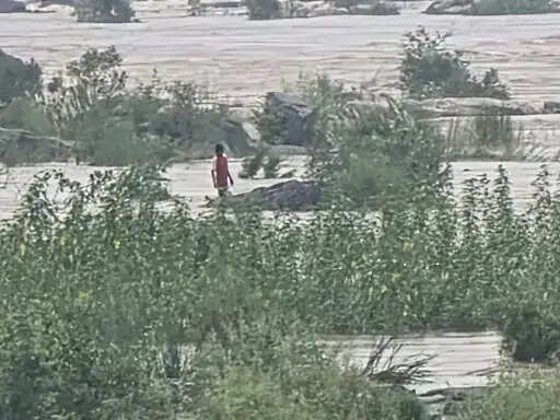 शहडोल: बाणसागर 6 खुले गेट, 6 लोग नदी में फंसे 5 का रेस्क्यू, 1 का बचाव जारी