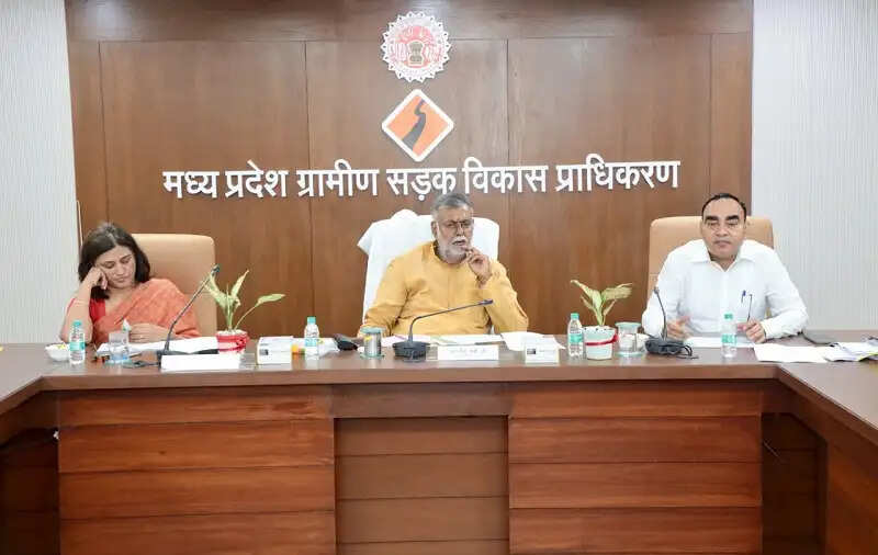 समयबद्ध डिजिटल सेवाओं और पंचायत ऑडिट को करे सुनिश्चित : मंत्री पटेल