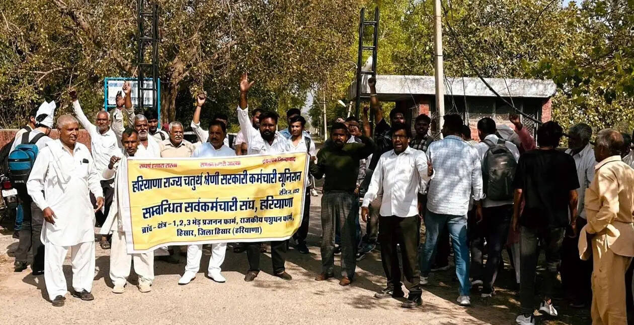हिसार : हाईकोर्ट के आदेशानुसार कच्चे चतुर्थ श्रेणी कर्मचारियों को पक्का करे सरकार : रामफल शिकारपुर