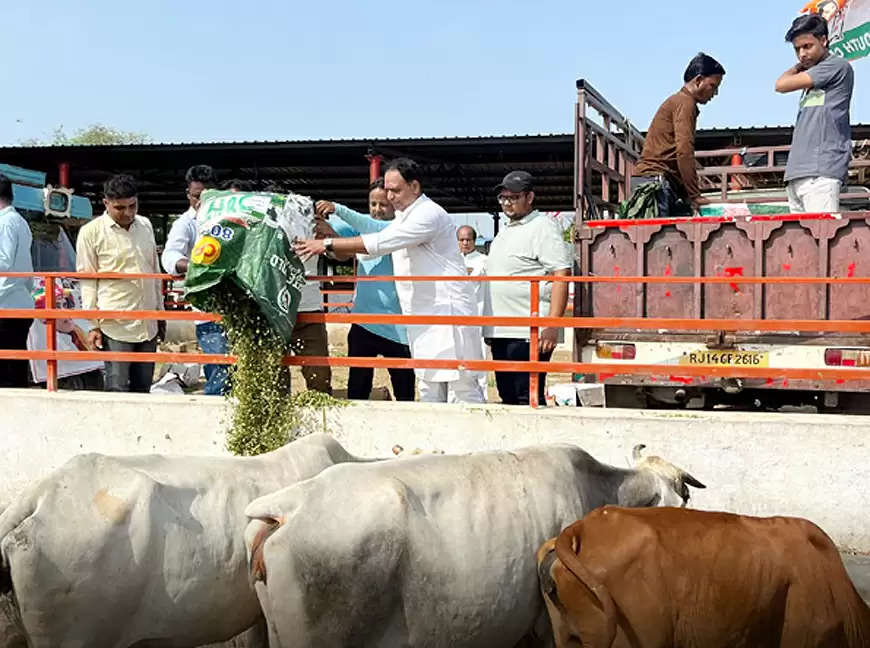 गाै सेवा कर मनाया सचिन पायलट का जन्मदिन