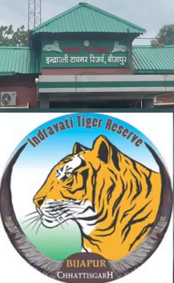 बस्तर का इंद्रावती टाइगर रिजर्व 40 वर्ष बाद पर्यटन के लिए एक नवंबर से खुल जायेगा