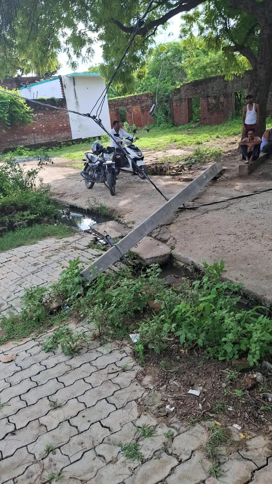 औरैया में बारिश-आंधी से गिरे बिजली के पोल, 30 घरों की बिजली गुल