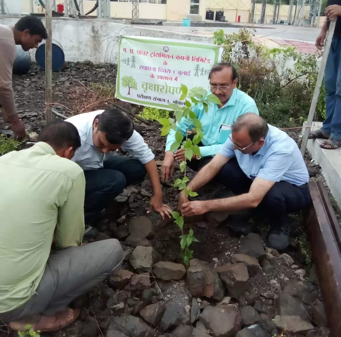 एम पी ट्रांसको का पौधरोपण अभियान, सब स्टेशनों और रहवासी कालोनियों पर हुआ वृहद पौधरोपण