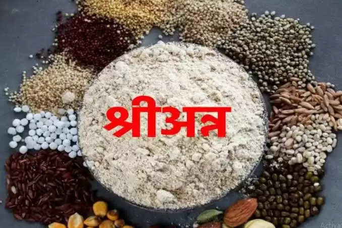 विंध्याचल मंडल में ज्वार-मक्का की खरीद में हलिया प्रथम