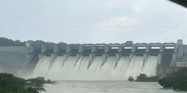कोरबा :&nbsp;मिनीमाता बांगो बांध&nbsp;&nbsp;का जलस्तर 94 प्रतिशत के पार, 49,828 क्यूसेक पानी छोड़ा गया, निचले इलाके में अलर्ट