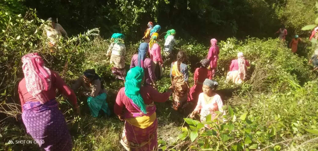 ग्रामीणाें&nbsp;की&nbsp;मेहनत&nbsp;लाई&nbsp;रंग,&nbsp;प्राकृतिक&nbsp;जलस्राेताें&nbsp;पर&nbsp;फिर&nbsp;फूटी&nbsp;जलधारा