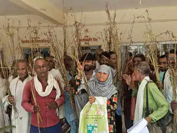बारिश से बर्बाद तिल की फसल, मुआवजे की मांग लेकर डीएम कार्यालय पहुंचे किसान