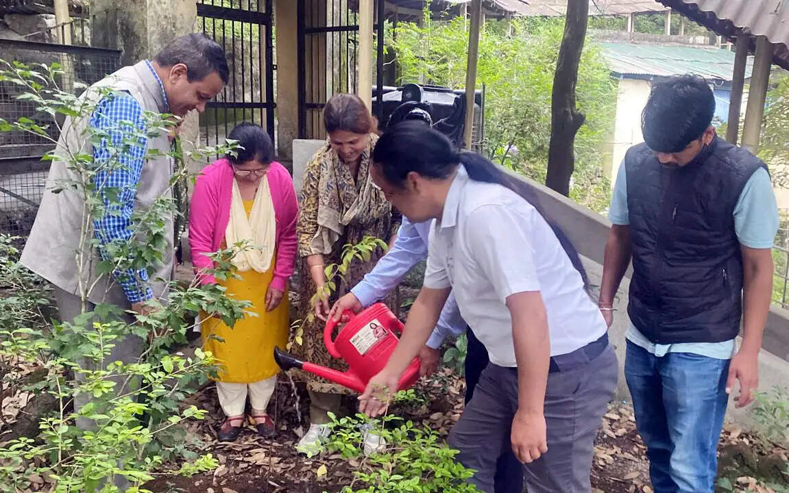 डीएसबी परिसर में मिशन ग्रीन के तहत पौधरोपण