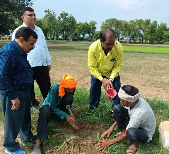 वृक्ष ही पर्यावरण के सच्चे योद्धा: डॉ.मुख्तियार सिंह