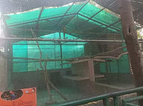 लखनऊ प्राणि उद्यान में वन्य जीवाें काे गर्मी से बचाने के लिए 50 से अधिक लगाये गये कूलर