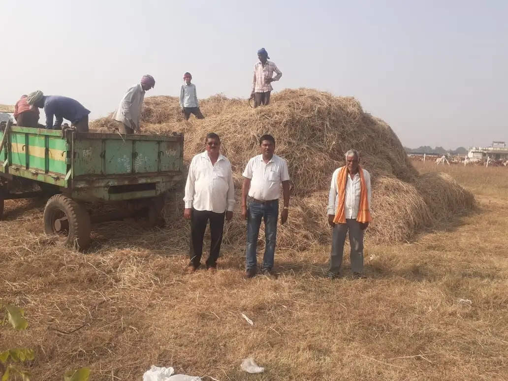 गांवों के खेत से हो रहा पैरा संग्रहण