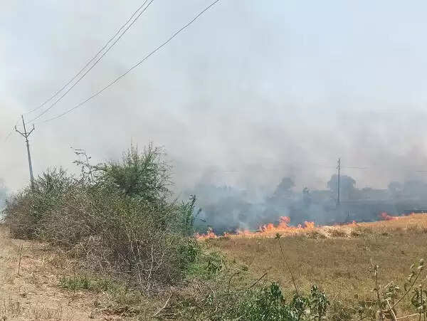 प्रतिबंध के बाद भी जल रही नरबाई, चारों ओर धुंआ ही धुंआ