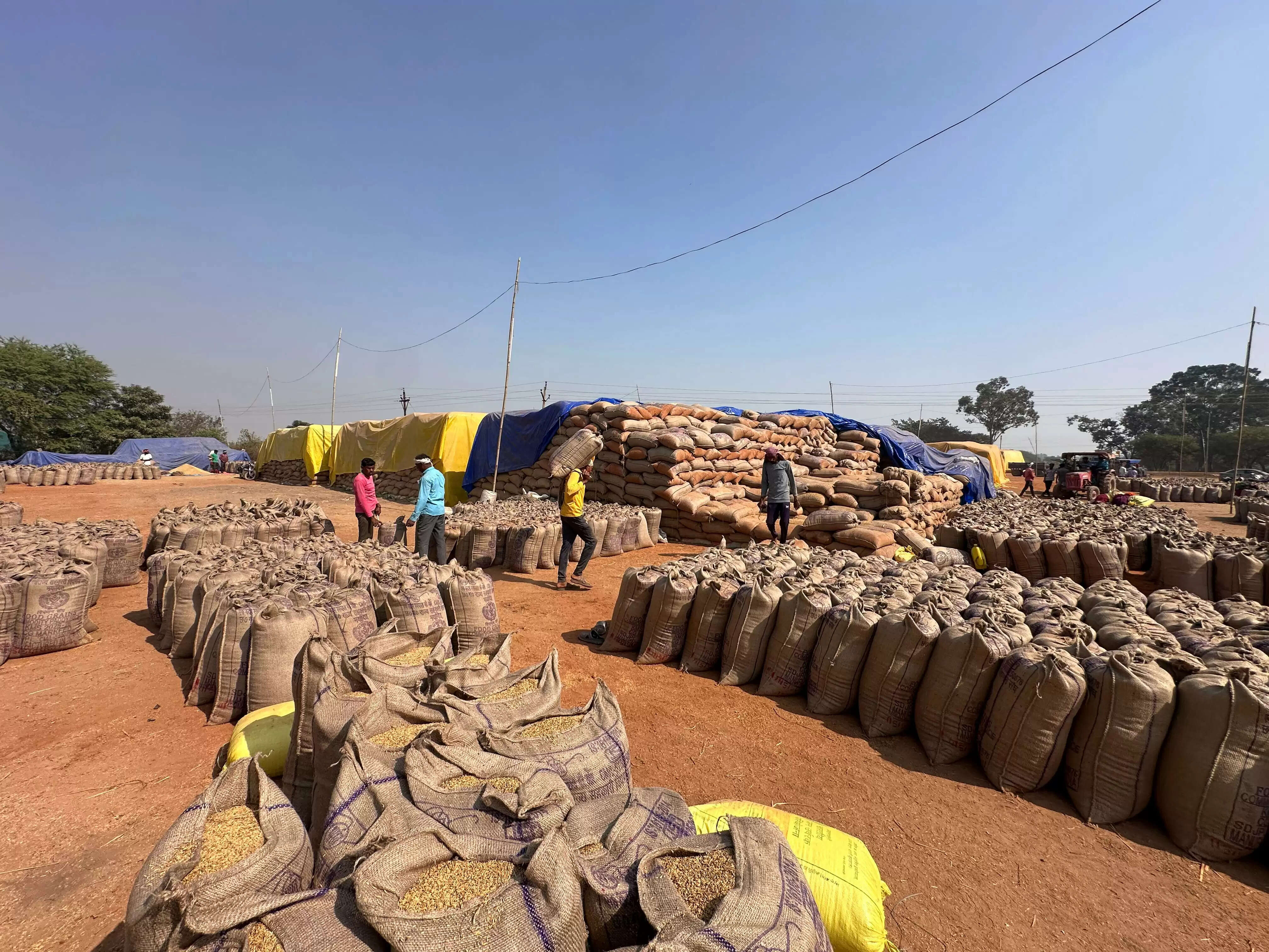 समर्थन मूल्य पर धान उपार्जन के लिए टोकन जारी करने से पहले होगा भौतिक सत्यापन