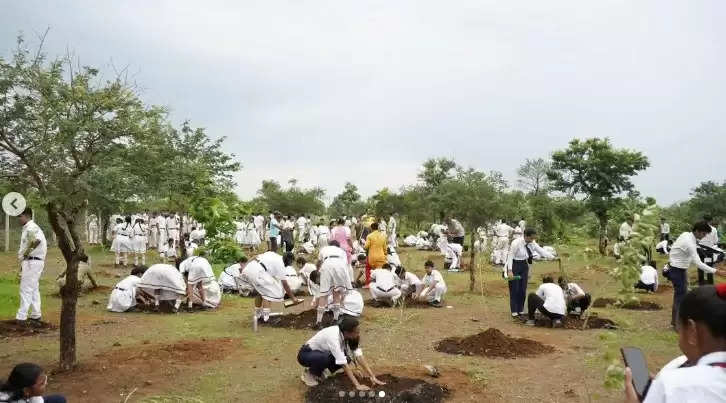 जिंदगी की सांसों के लिए पौधों का बड़ा योगदान : खाद्य मंत्री राजपूत