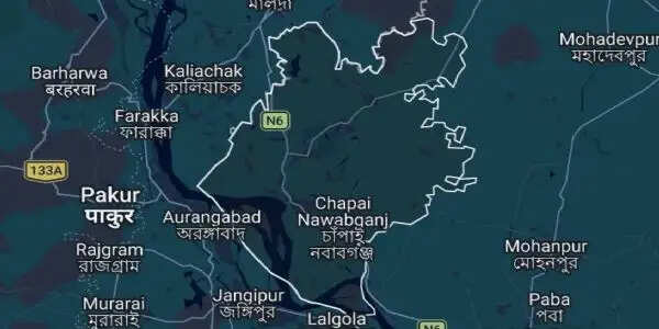 बांग्लादेश में पद्मा नदी में नाव पलटी, 10 लोगों को बीएसएफ ने बचाया