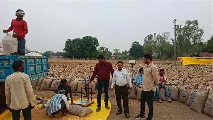 उपार्जित गेहूं का तत्काल परिवहन कराएं, बर्दाश्त नहीं की जाएगी लापरवाहीः कलेक्टर