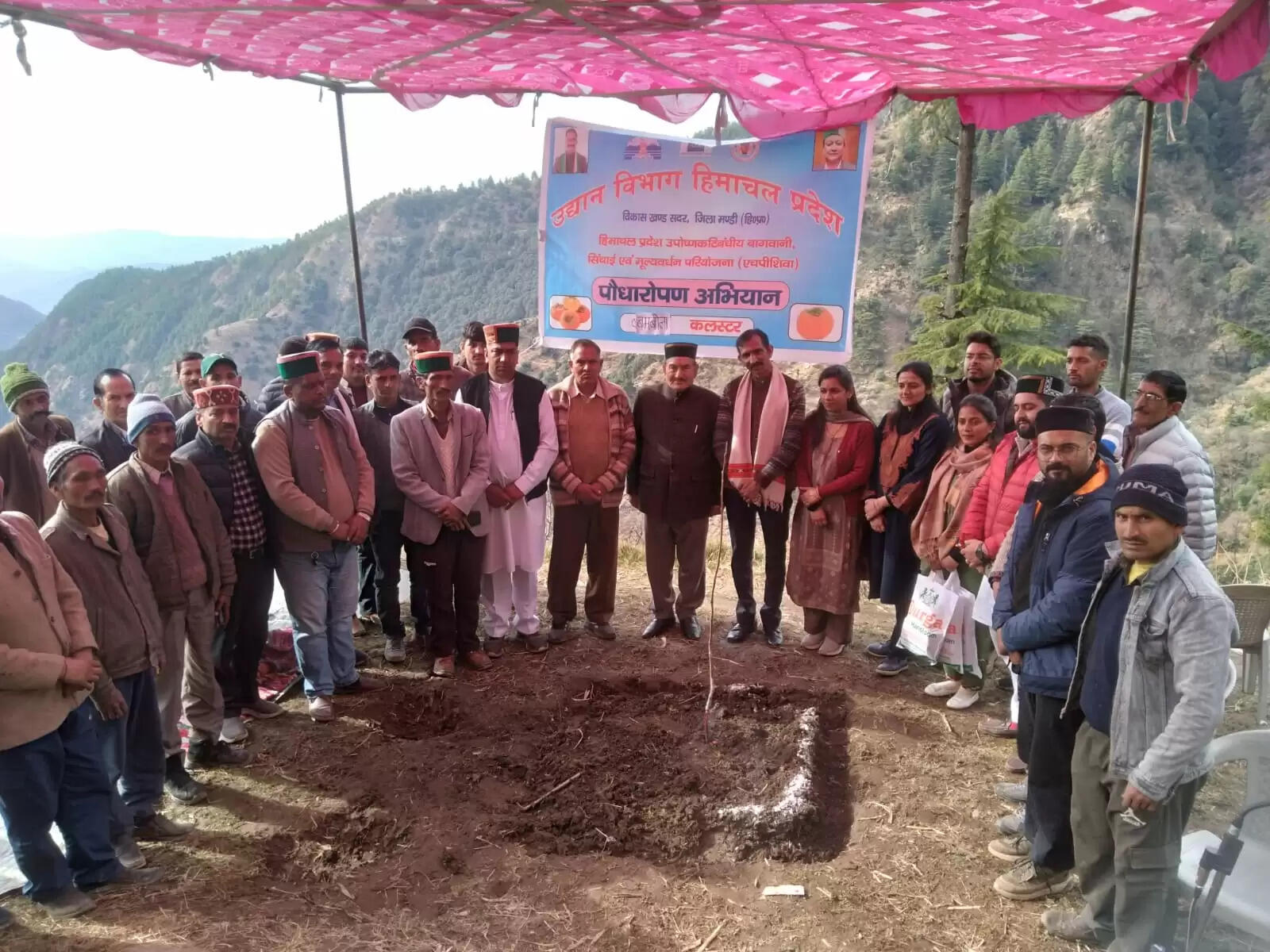 पराशर घाटी के बम्बोला क्लस्टर में 13 हेक्टेयर में रोपित होंगे जापानी फल के 8500 पौधे