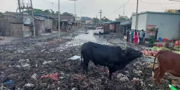 करोड़ों रूपए का राजस्व देना वाला फारबिसगंज कृषि उत्पादन बाजार की स्थिति नरकीय