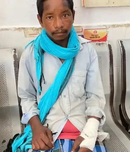 हरनाटांड़ में भालू का हमला, ग्रामीण गंभीर रूप से घायल