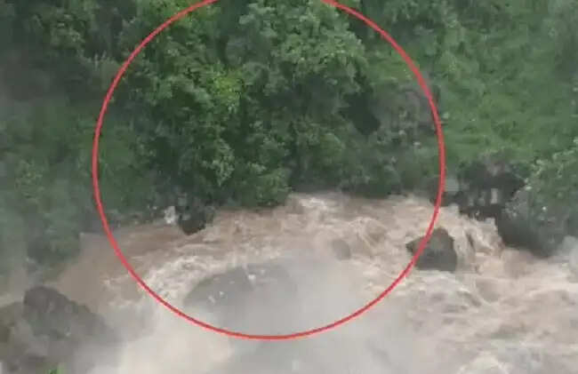 मप्र के छिंदवाड़ा में 150 फीट से गिरते झरने में फंसे महाराष्ट्र के चार युवक, एसडीईआरएफ ने किया रेस्क्यू