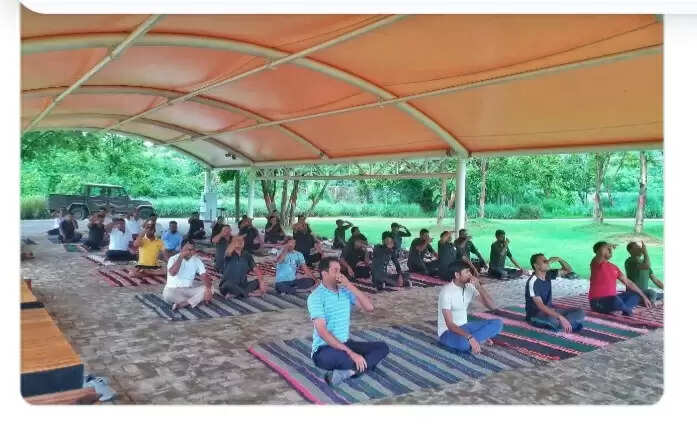 राजगीर ज़ू सफारी में अंतर्राष्ट्रीय योग दिवस पर औषधिये पौधे लगाने का पर्यावरण संरक्षण की दिशा में की गई पहल