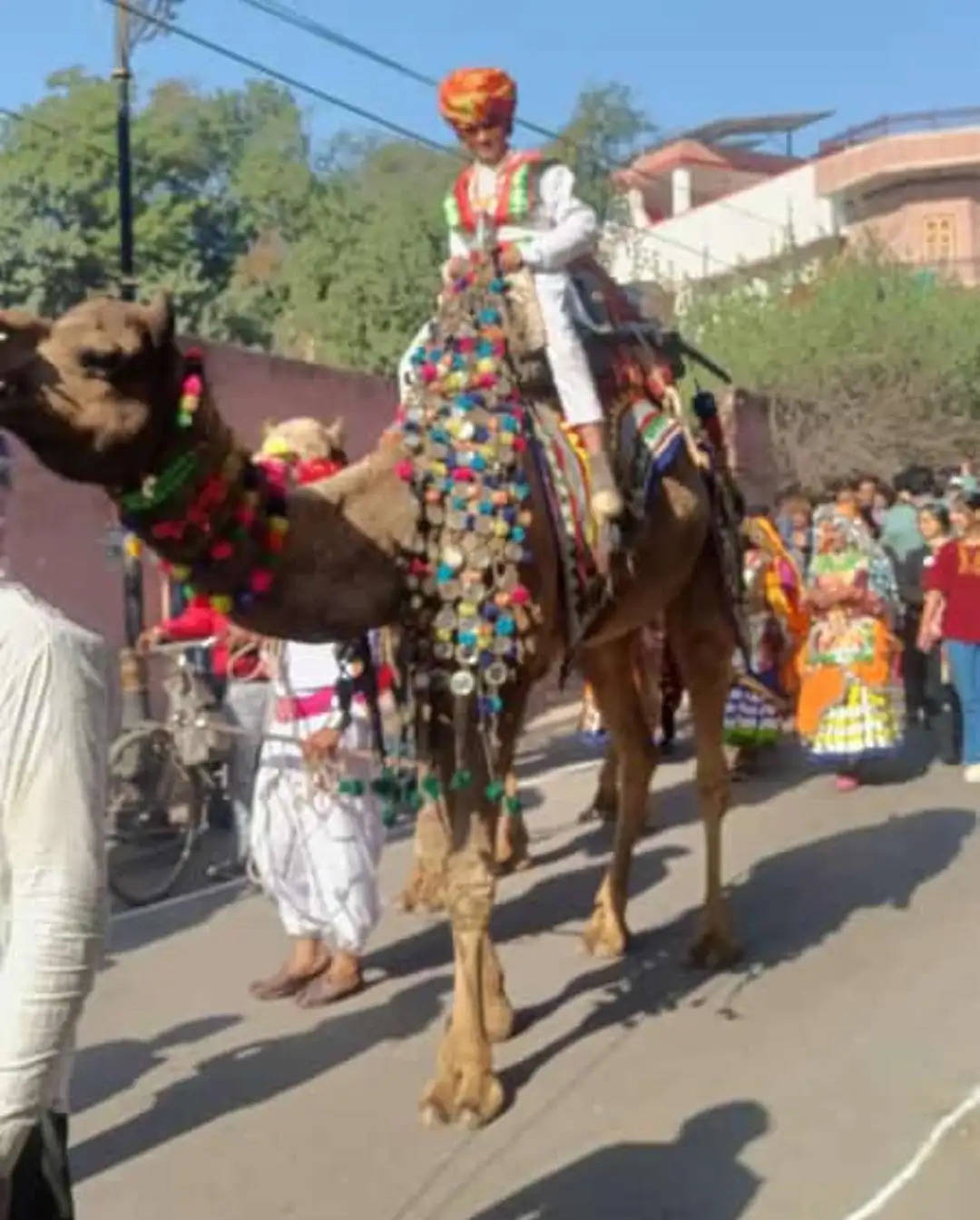 हेरिटेज वॉक के साथ शुरू हुआ अंतरराष्ट्रीय ऊंट उत्सव