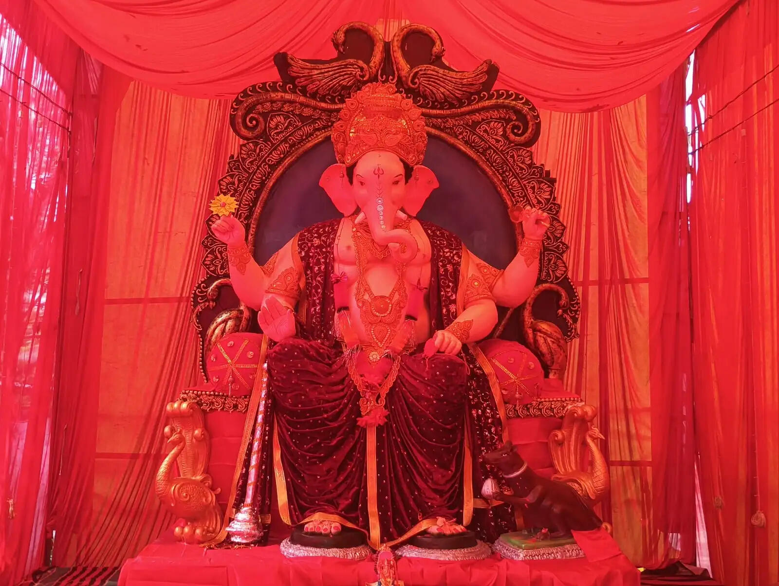 अनूपपुर में 226 स्थानों पर विराजे गणपति, ऋषि पंचमी पर अमरकंटक में महाराष्ट्र से पहुंचे हजारों श्रद्धालु