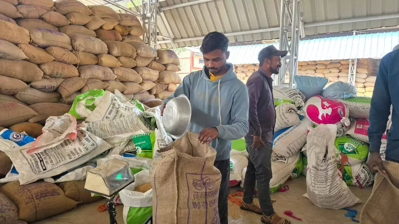 सरगुजा: जिले में अब तक 16.82 लाख क्विंटल से अधिक धान की खरीद