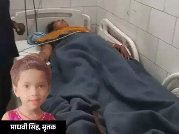 अनूपपुर: एक ही परिवार के तीन लोगों को सांप ने डसा, बच्ची की मौत, माता-पिता का इलाज जारी