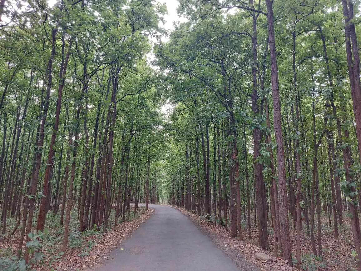 रामगढ़ में बनेगा आधुनिक स्टेडियम, मुर्रामकला के पहाड़ों पर विकसित होगी ट्रैकिंग सुविधा