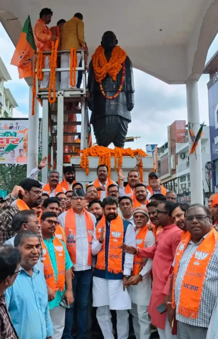 सरदार पटेल का जीवन और उनके विचार हर भारतीय के लिए राष्ट्रसेवा की अमर प्रेरणा हैं - डॉ दयाशंकर मिश्र