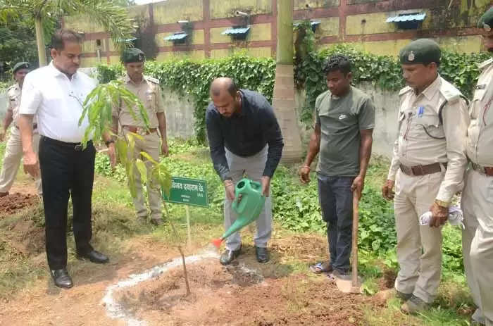 विश्व पर्यावरण दिवस पर अधिकारियों ने किया पौधरोपण, फैंसी ड्रेस के माध्यम से दिया संदेश