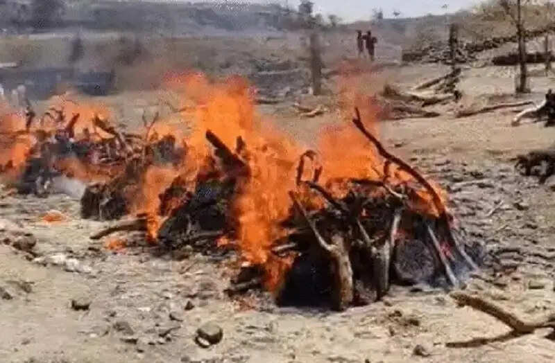 मप्र का धार हादसाः तीन गांवों में हुआ 16 लोगों का अंतिम संस्कार, परिजनों को आर्थिक सहायता का ऐलान