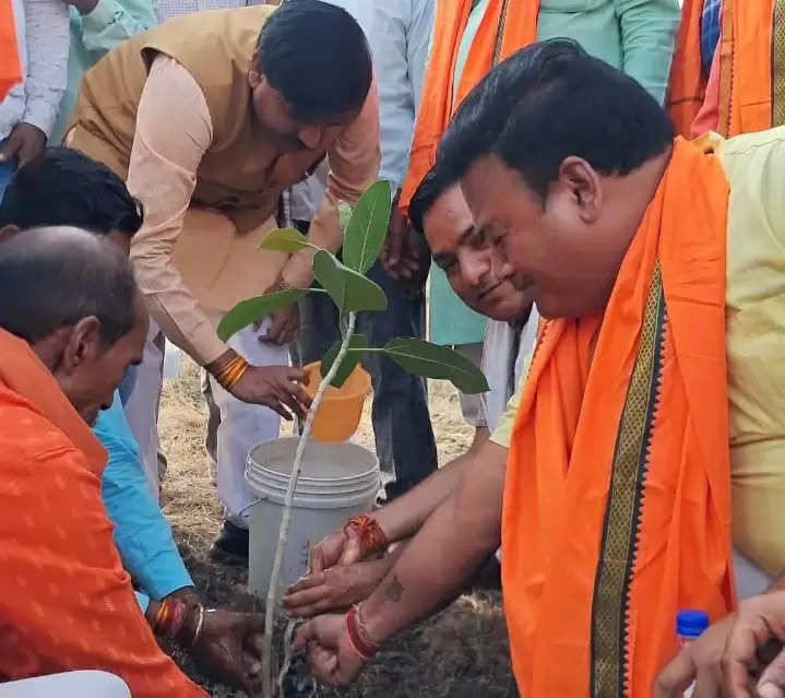 वर्षा ऋतु शुरू होने वाली है, धरती को बचाने के लिए पेड़-पौधे लगाना जरूरीः मंत्री लोधी