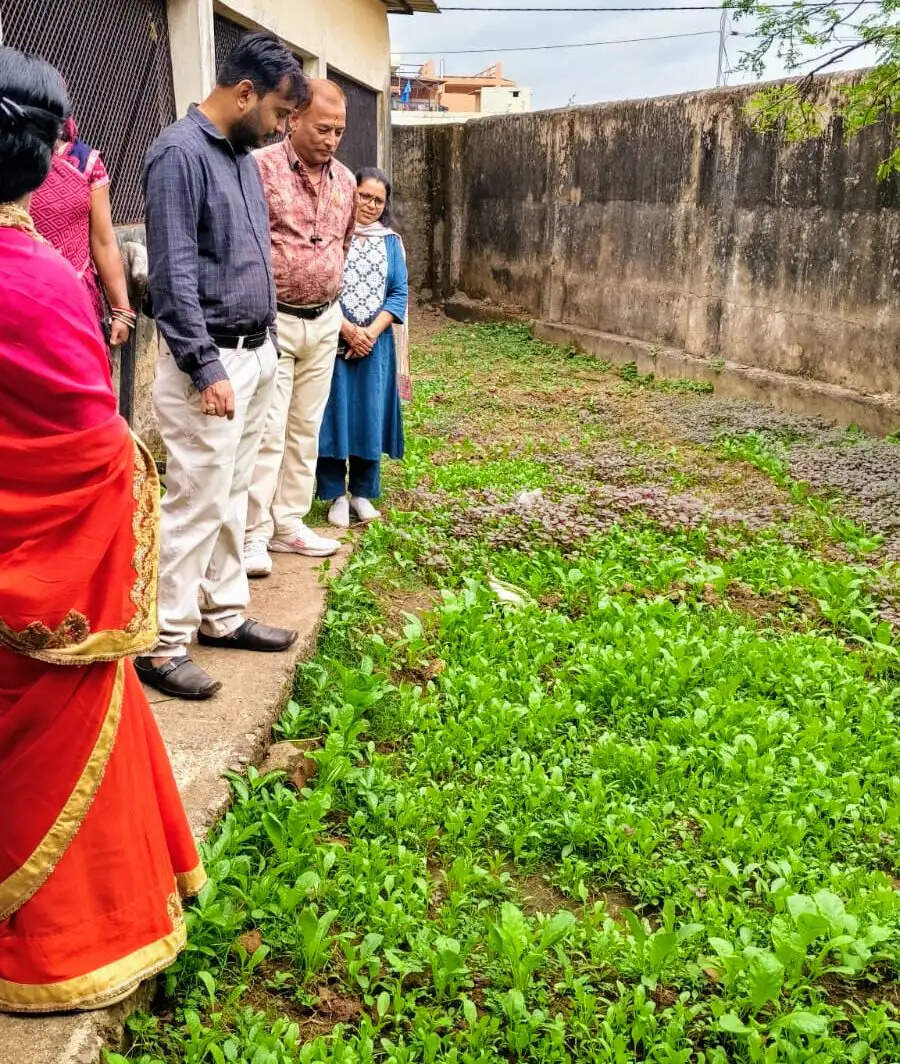 माना बस्ती के तालाब बनेंगे पक्षी विहार, प्रवासी पक्षियों को मिलेगा सुरक्षित प्राकृतिक आवास