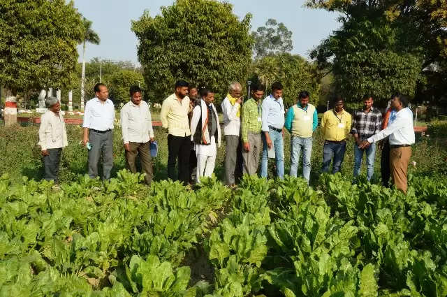 खोई से होने लगा बिजली उत्पादन, ऊर्जादाता बन रहा अन्नदाता : प्रो. डी स्वाईन