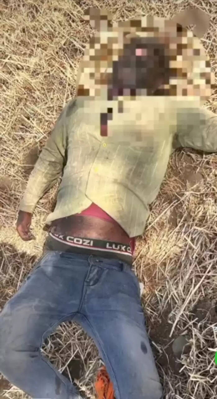 राजगढ़ःखेत में मिला युवक का शव, जांच शुरु