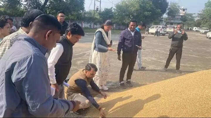 मंडलाः कलेक्टर ने मलारा में किया धान खरीदी केंद्र का निरीक्षण, किसान से करवाई खरीदी की शुरुआत