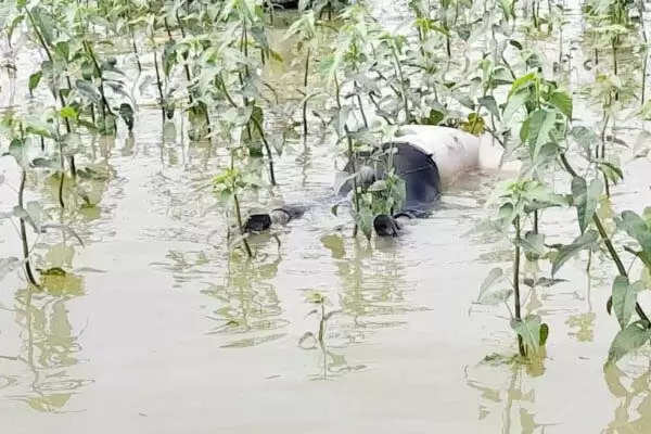 जमशेदपुर के चांडिल डैम से मिला ट्रेनी पायलट का शव, लापता विमान की तलाश