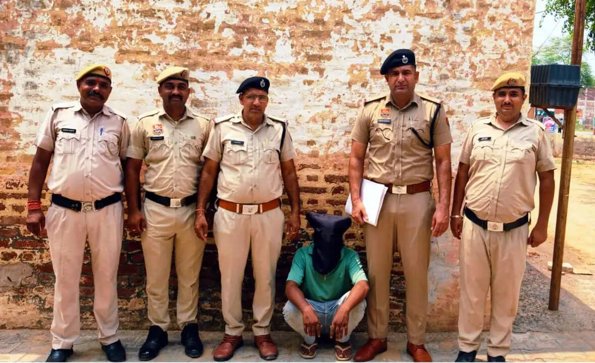 हिसार में भारी मात्रा में 480 प्रतिबंधित कैप्सूल सहित एक गिरफ्तार